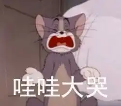 哔哩哔哩专栏
