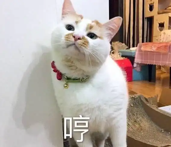 情侣之间亲亲抱抱举高高已经过时,女神更喜欢这4个动作

