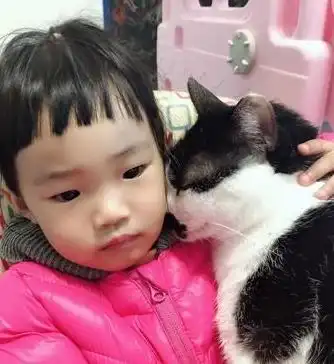 小主人只顾看电视,猫咪吃醋了,为吸引注意抱着小主人撒娇
