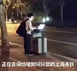 你是什么垃圾这个日本最变态小镇给出答案,零垃圾,靠卖树叶就能年入千万
