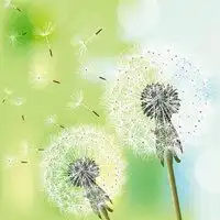 与浅笑安然相配的头像微信头像图片大全
