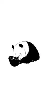可爱卡通熊猫手机壁纸
