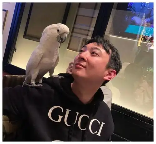 王思聪深夜觅食不带女友,与俩美女抽烟热聊,吞云吐雾心情好
