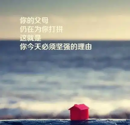 我想减轻您的负担

