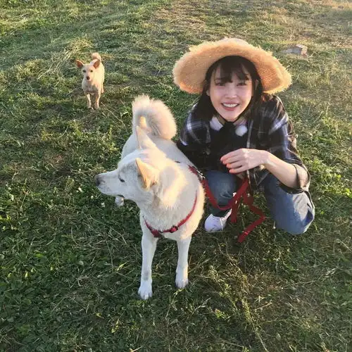 头像你若长得不好看
