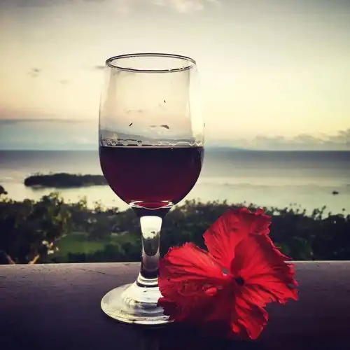 生活最需要情调葡萄酒情人节约会指南已出与ta共赴醉美盛宴

