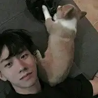 男生抱小动物头像图片微信头像图片大全
