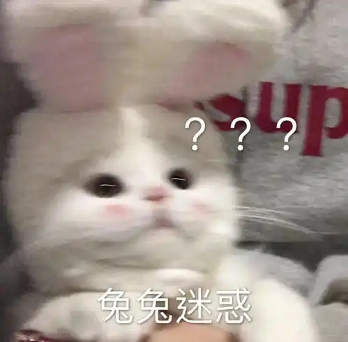 千万不要去重庆旅游,否则网友笑到我立马开车过去看看哈哈哈哈哈哈哈
