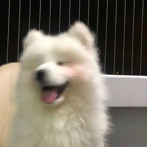狠狠地笑了
