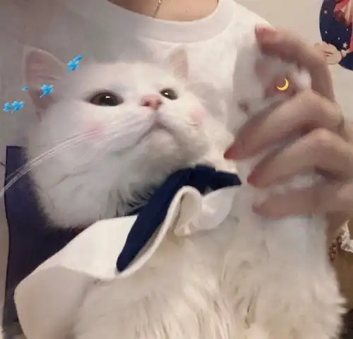 头像甜甜的情侣头像
