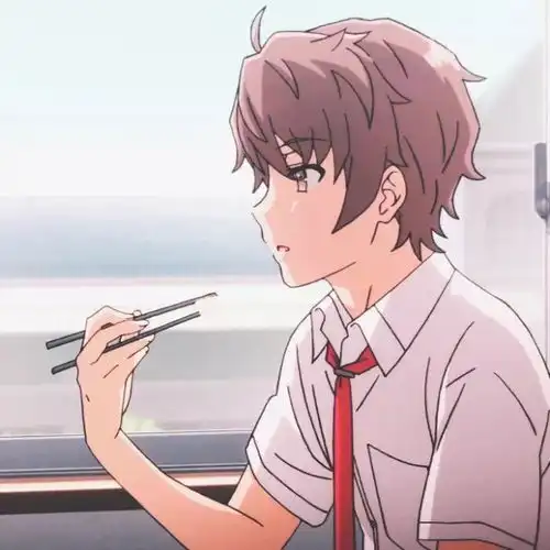 青春猪头少年不会梦到兔女郎学姐
