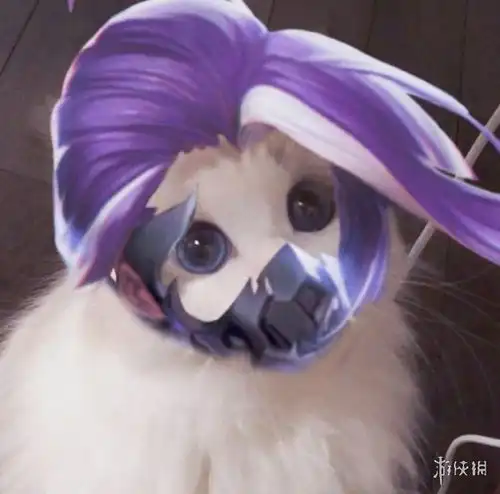 王者荣耀猫咪接头头像大全
