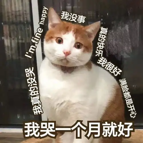 杭州萧山壹加壹心超绝育有姐妹拼单吗
