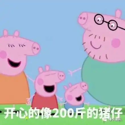 诚信肥宅养成计划
