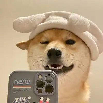 狗狗自拍照头像,狗狗拿手机自拍头像图片
