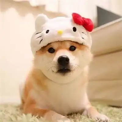 我就想当个废柴,肿么了
