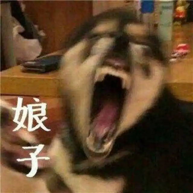 不可爱不卡通但是很特别的狗年情侣头像,撒狗粮我们是认真的
