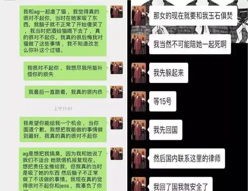 豹猫被捆绑灌酒虐打致死虐猫情侣说尸体可以做艺术品
