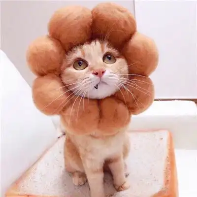 超萌猫咪情头一对两张做你的喵星人
