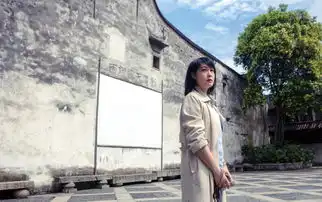 刘若英限定版乌镇演唱会12月30日开唱
