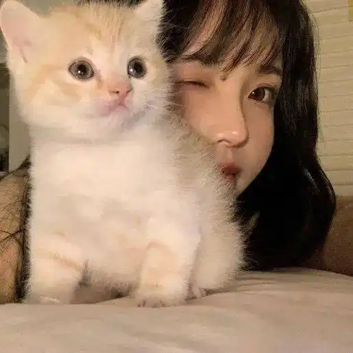 氛围感头像书里总爱书写到喜出望外的傍晚
