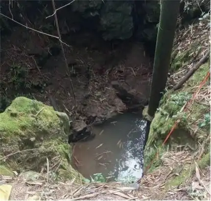广西红水河和柳江河水系发现新物种安东岭鳅
