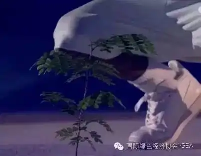 里约奥运会开幕式一场低调而美丽的环保盛宴
