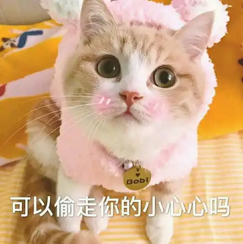 表情包花式表白,可以偷走你的小心心嘛
