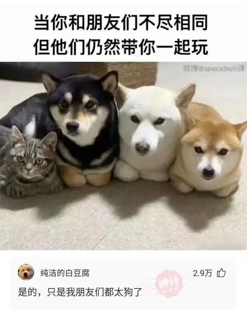 神回复你是怎样看待骨灰撒海的你愿意死后自己骨灰撒海吗
