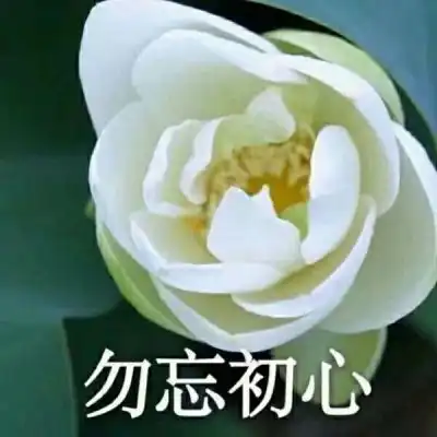 君兮染安度晚年
