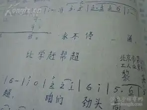 歌曲集1966年油印本黄沙绿浪红旗飘战黄沙筑起了绿色长城前进前进水保战士我们走向广阔的原野养猪模范周大妈红心向党献水保战士小唱比学赶帮超背冰舞
