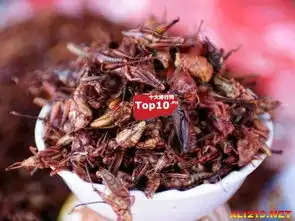 盘点此生必须要尝尝的十大奇葩美食你敢吃几个
