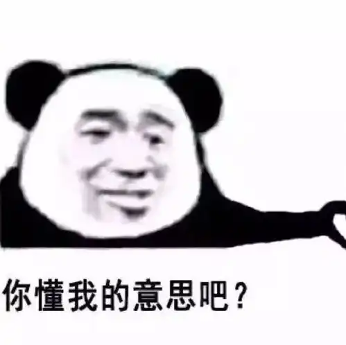 有生之年都想用的表情包情侣头像
