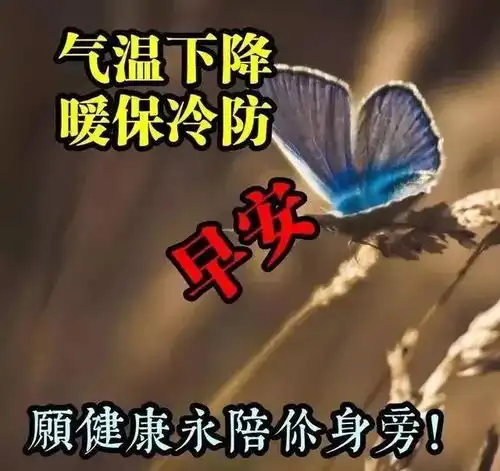 人生,活的就是心情,需要有信心
