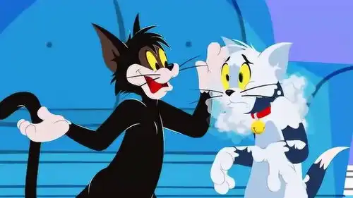 新猫和老鼠布奇把汤姆变成一个神经病,这是故意的吧
