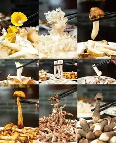 穿越1000多公里的云南野生菌火锅你确定不尝鲜
