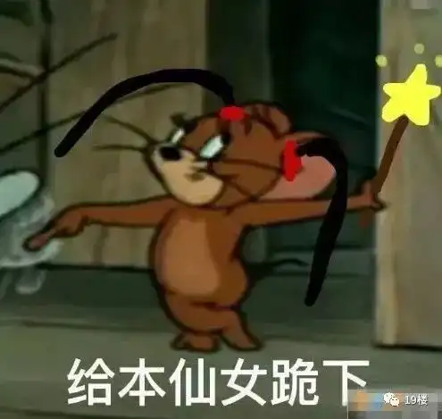 我没本事租一个月几万的房子所以活该被老鼠弄死史上最艰辛租房史
