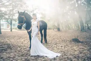 一组美美的婚纱照奉上
