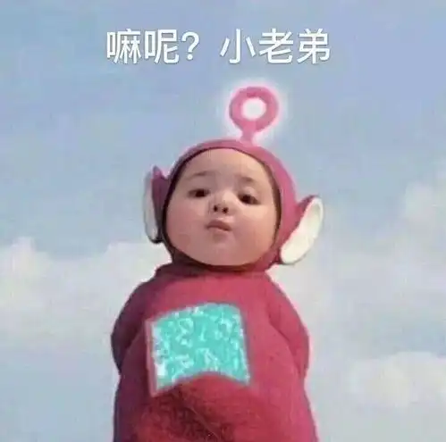 志愿填报2选择地区
