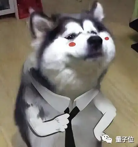 马斯克晒照驳出轨b站遭4亿索赔谷歌开除争议员工
