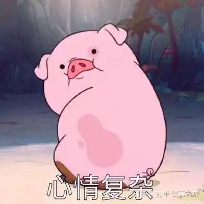 学走路,是孩子面临的第一场竞赛
