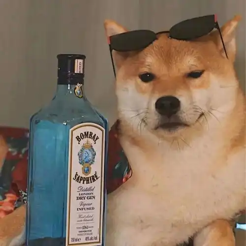 浪漫的情侣头像快换上啊
