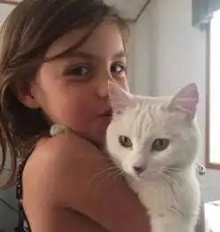 爱猫因为火灾生死未卜,小女孩坚信它还活着,苦苦寻找3周终相逢
