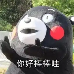 衣食住行,一个包搞定网易订阅

