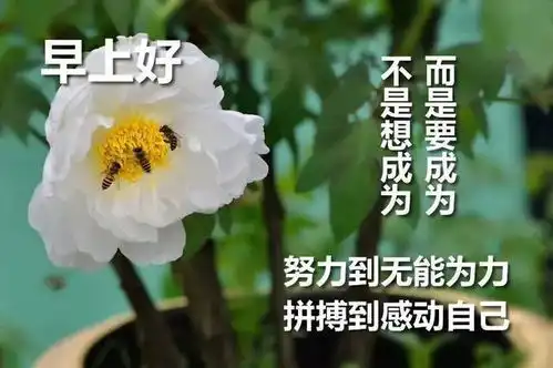 微信朋友圈早安心语优美的语句配图片
