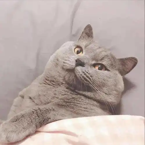 头像密码如果不正确输入一万次还是错的就像有些事情不是因为你的执着就对了
