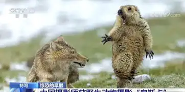 这张被网友玩坏了的照片拿下世界大奖图
