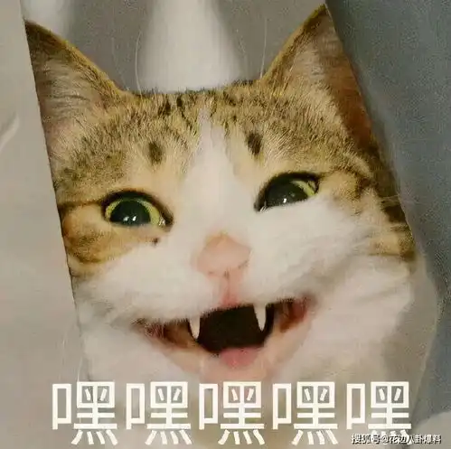 苏苏传下挑拨离间拆散真爱奉献男模讨好老板的当红小花
