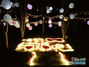 大声说出爱九江90后小伙七夕前夜浪漫求婚组图
