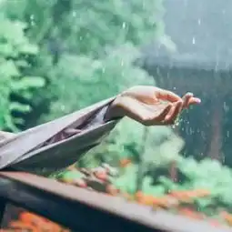 悦读情暖今生,念如往昔
